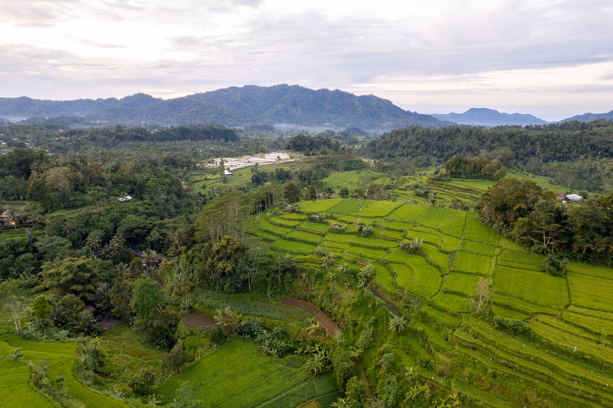 Arrozales de Sidemen Bali: Valle Auténtico 2026