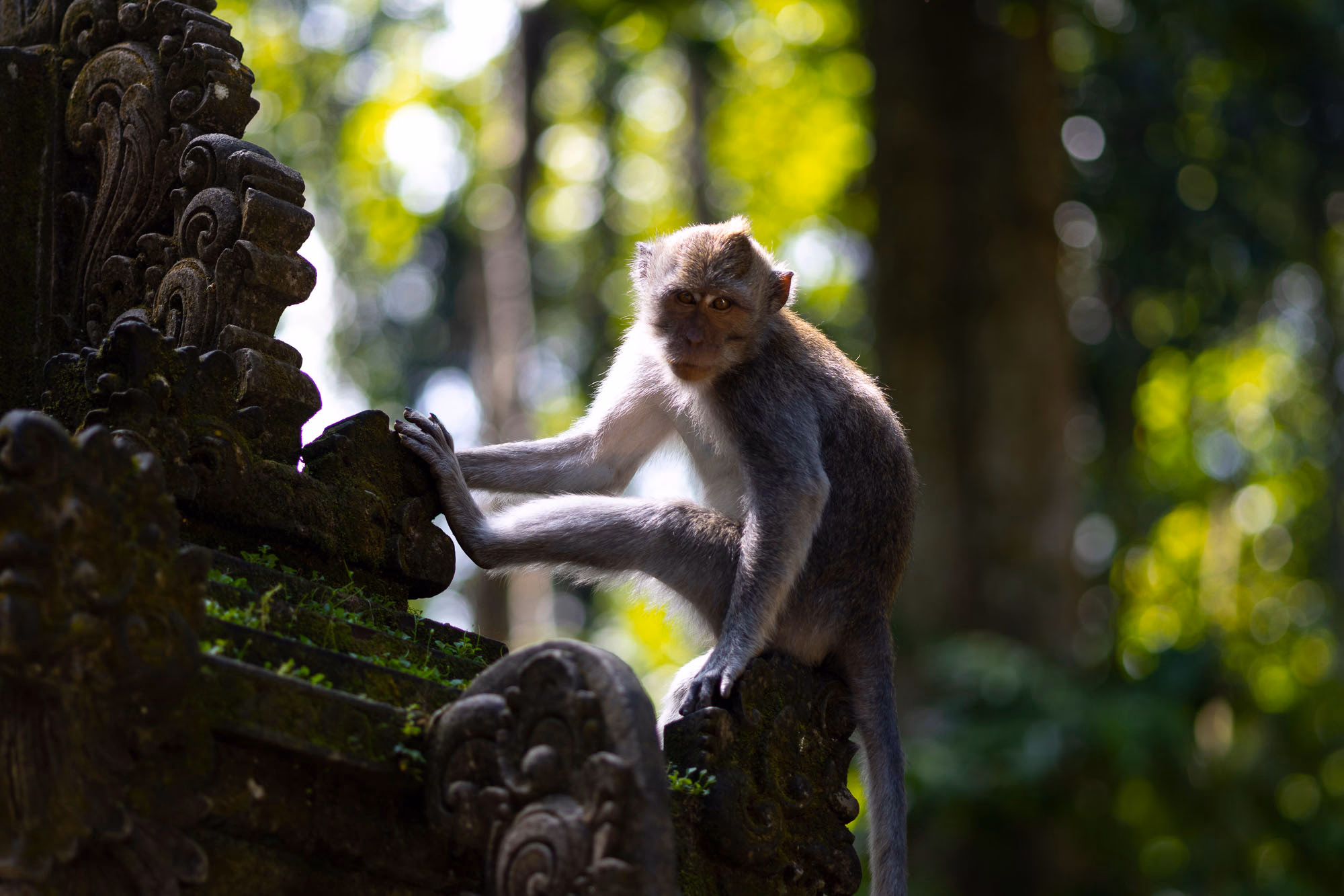 Ubud